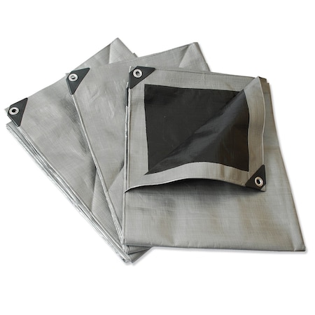 Surtek 3 m X 4 m Tarp, Silver LR3X4
